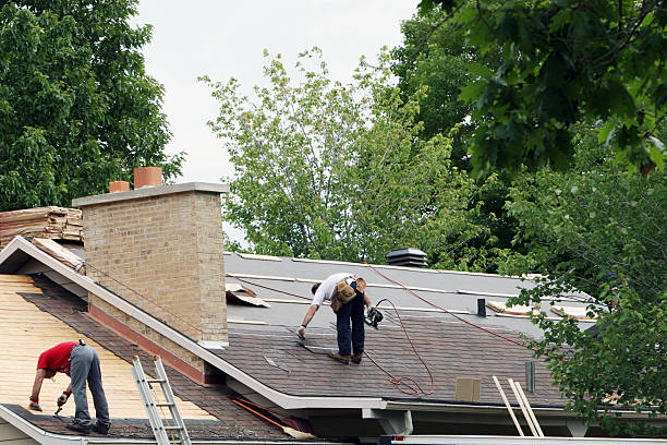 Best Roof Gutter Cleaning  in Warrenton, GA